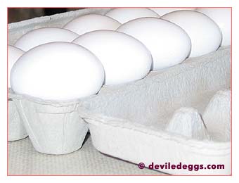 Eggs in Carton